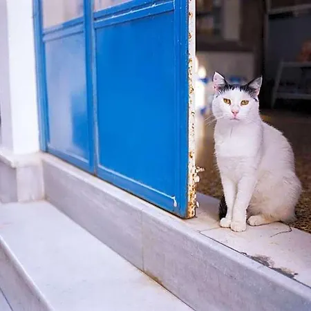 Superb Naxos Triple Semi-basement Private Balcony 3*